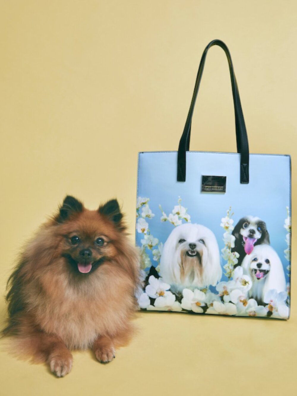 Poppy Lissiman - Yap Yap Pet Book Bag, Blue